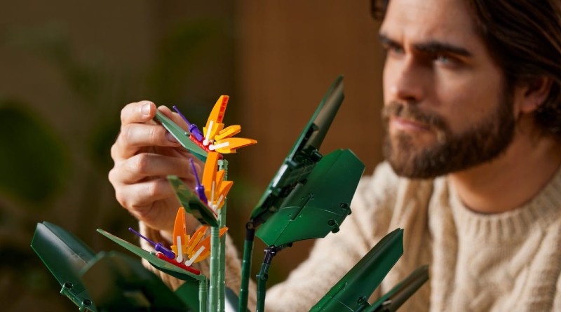 Brighten up a room with LEGO 10289 Bird Of Paradise