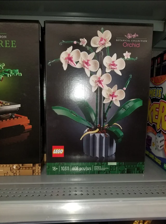 10311 Orchid 1