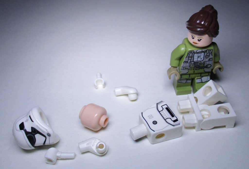 Brick Pic of the Day: Fall of the First Order