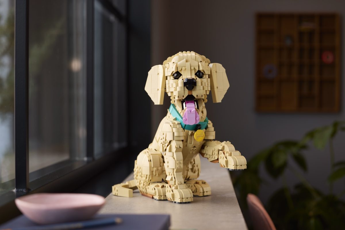 LEGO Icons 11384 Golden Retriever Puppy 26 1200x800