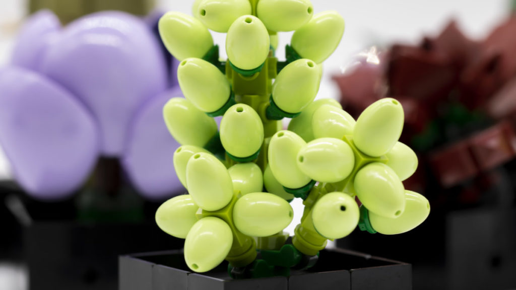 LEGO The Botanical Collection 10309 Succulents 40 1024x576