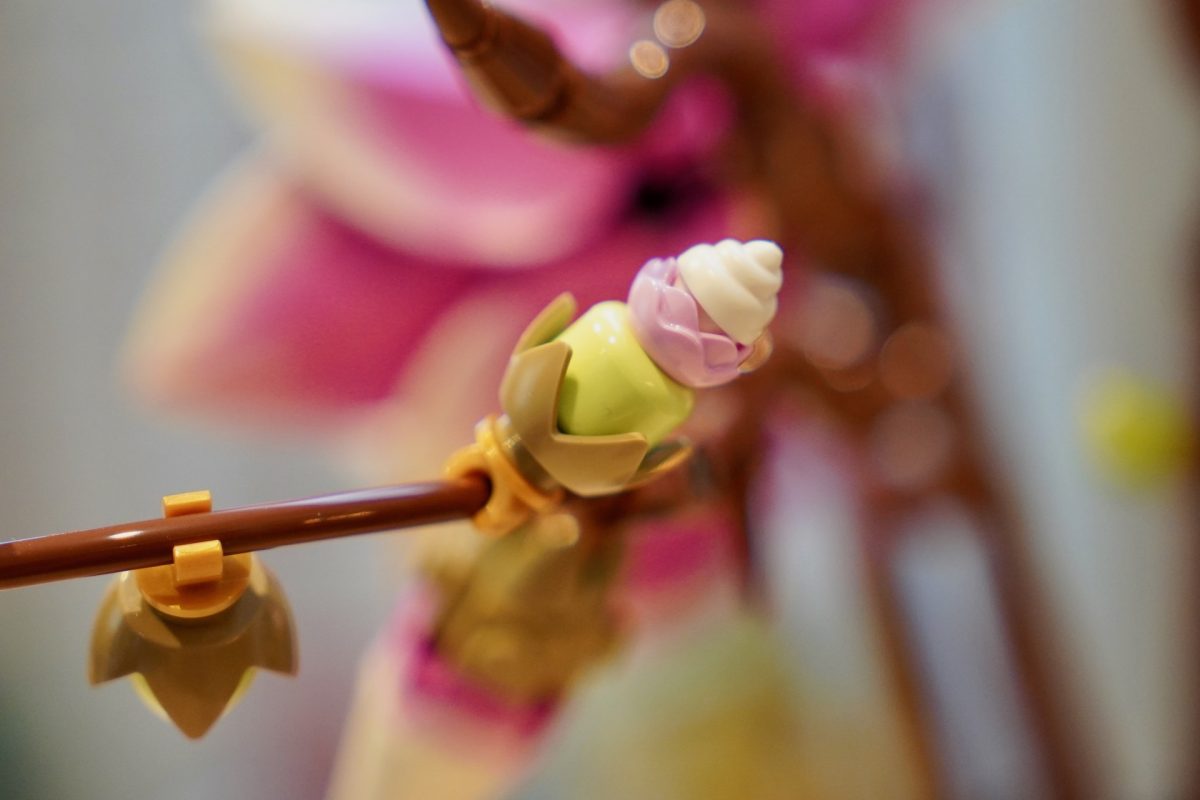 LEGO Botanicals 11510 Magnolia Branches review 14 1200x800