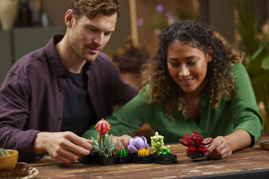 LEGO Creator Expert Botanical Collection 10309 Succulents 8 1024x684