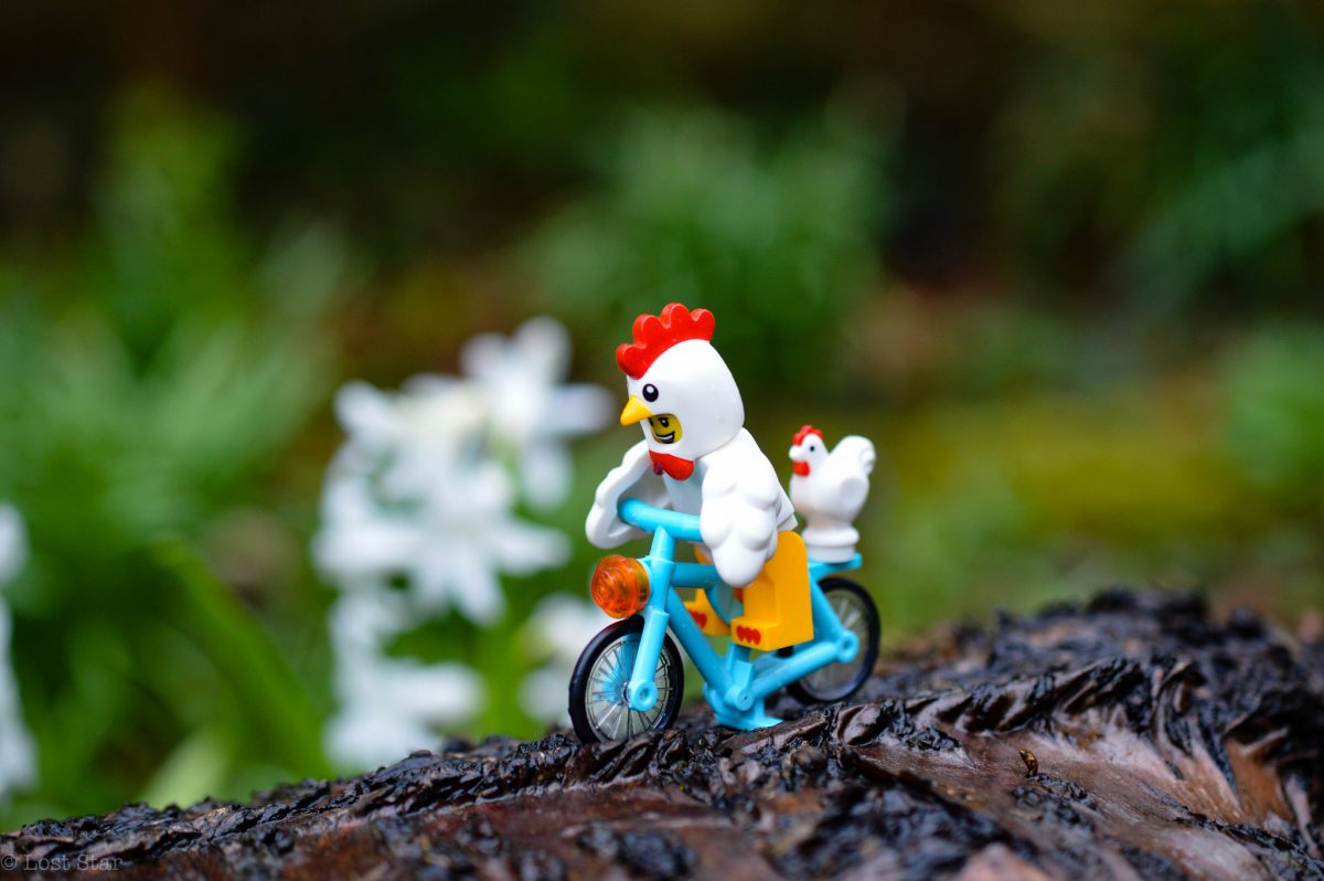 Brick Pic of the Day: Back to clucking work