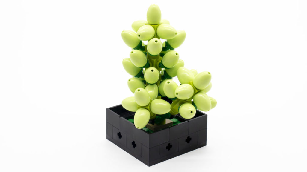 LEGO The Botanical Collection 10309 Succulents 18 1024x576