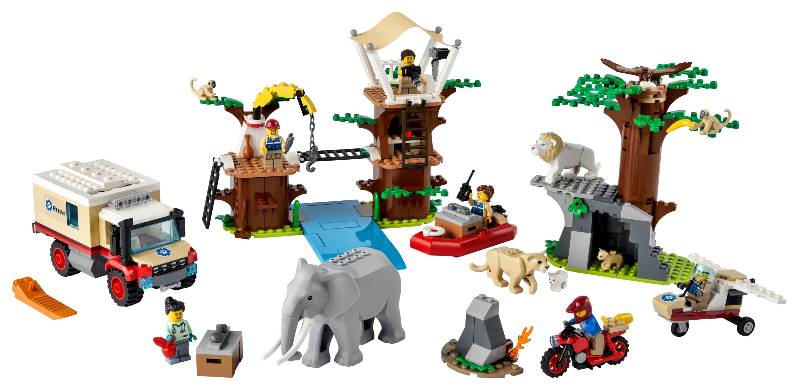 60307 scaled