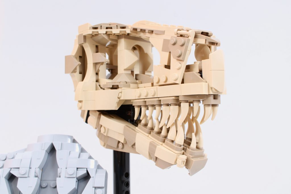 LEGO Jurassic World 76964 Dinosaur Fossils T. rex Skull review 5 1024x683