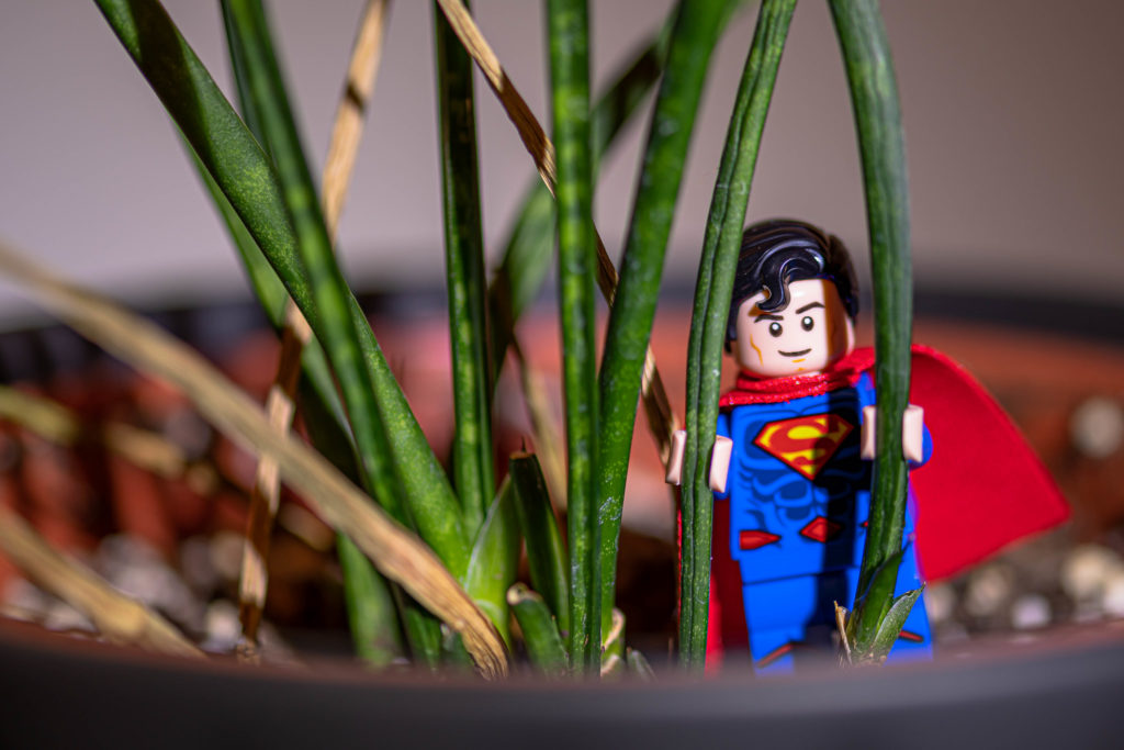 Brick Pic of the Day: Have a Super day!