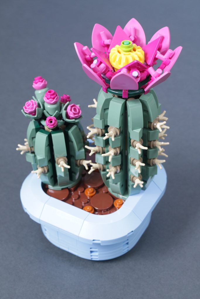 LEGO Botanicals 11501 Tulip Bouquet 11509 Flowering Cactus 11508 Daisies 11504 Peace Lily review 9 683x1024