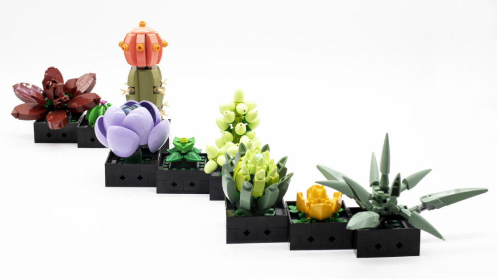 LEGO The Botanical Collection 10309 Succulents 47 1024x576