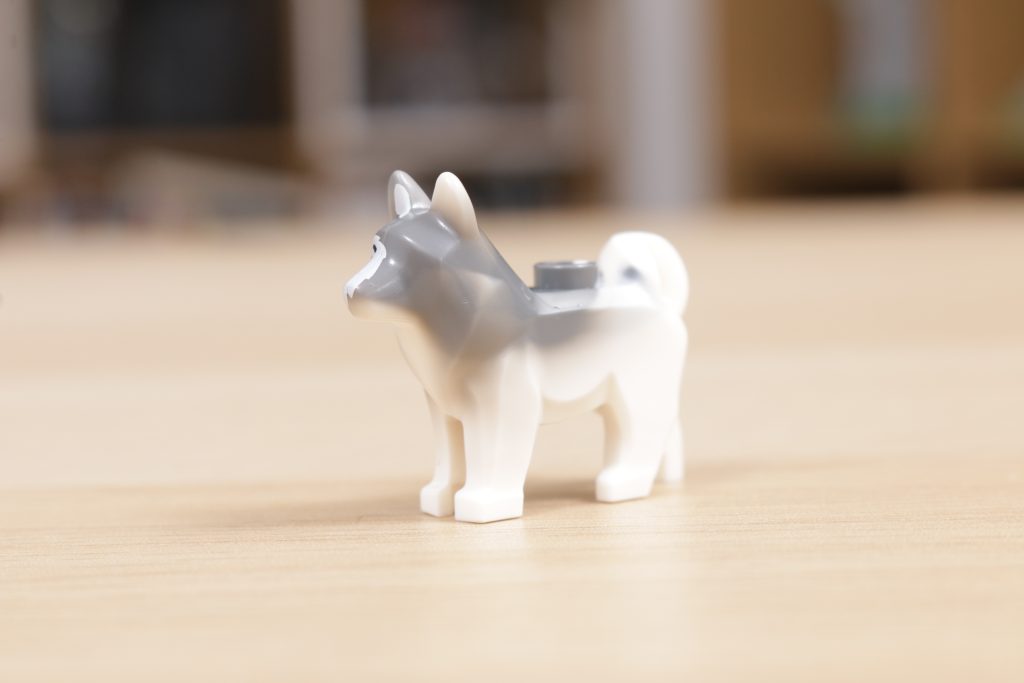 LEGO Husky dog misprint 6 1024x683