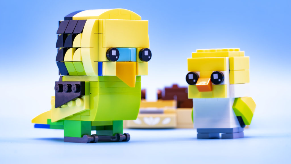 Lego brickheadz pets 40443 Budgie 23