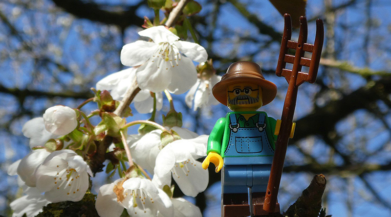 Brick Pic of the Day: Outdoor life