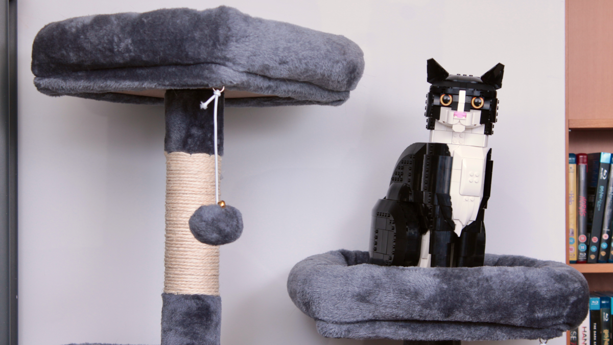 LEGO Ideas 21349 Tuxedo Cat review