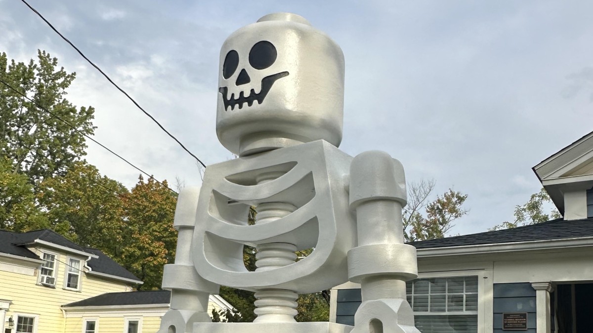 Make a LEGO skeleton as tall as your house for $2500