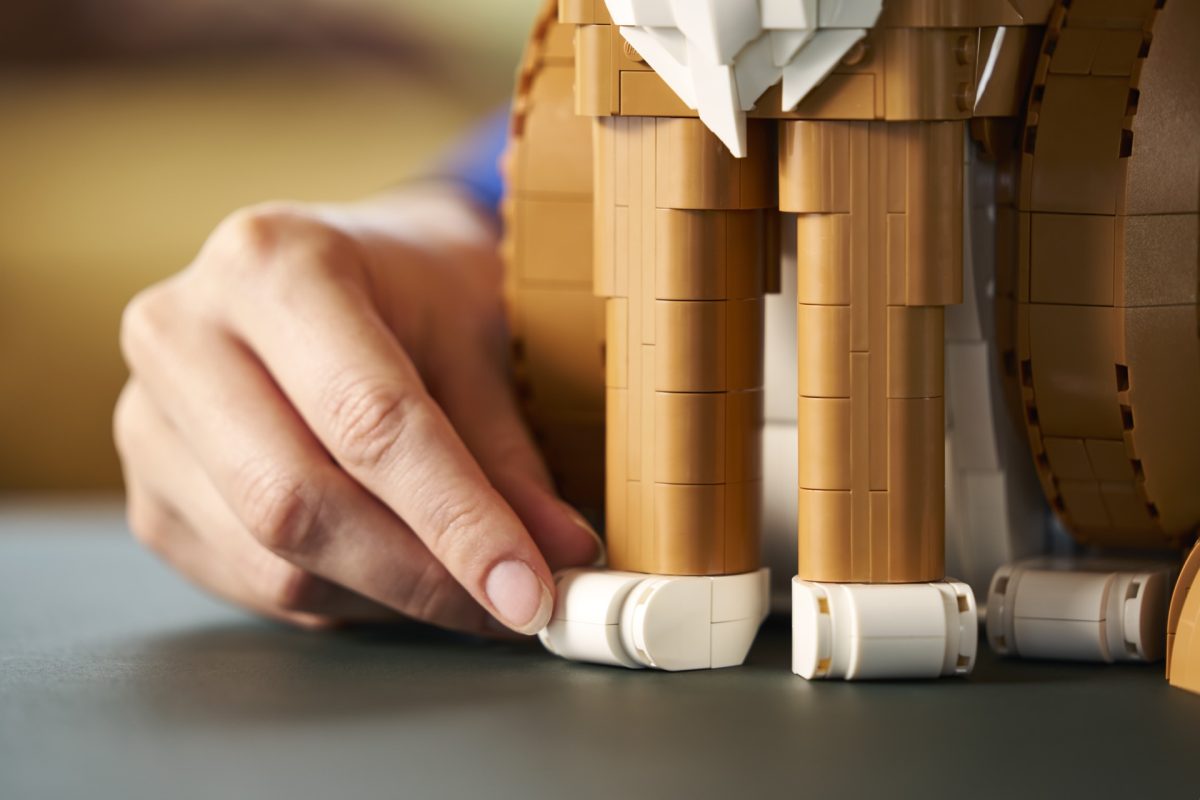 LEGO Ideas 21376 Orange Cat 13 1200x800