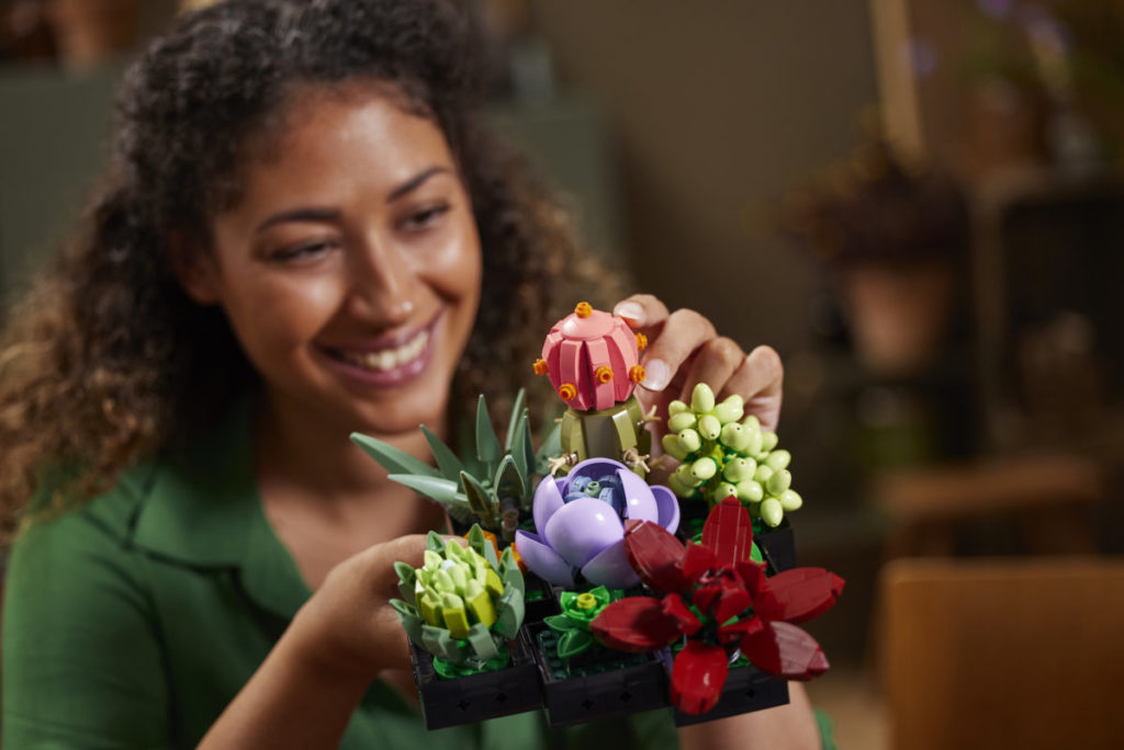 LEGO Creator Expert Botanical Collection 10309 Succulents 6 1024x684