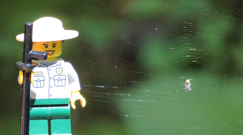Brick Pic of the Day: Nature trail