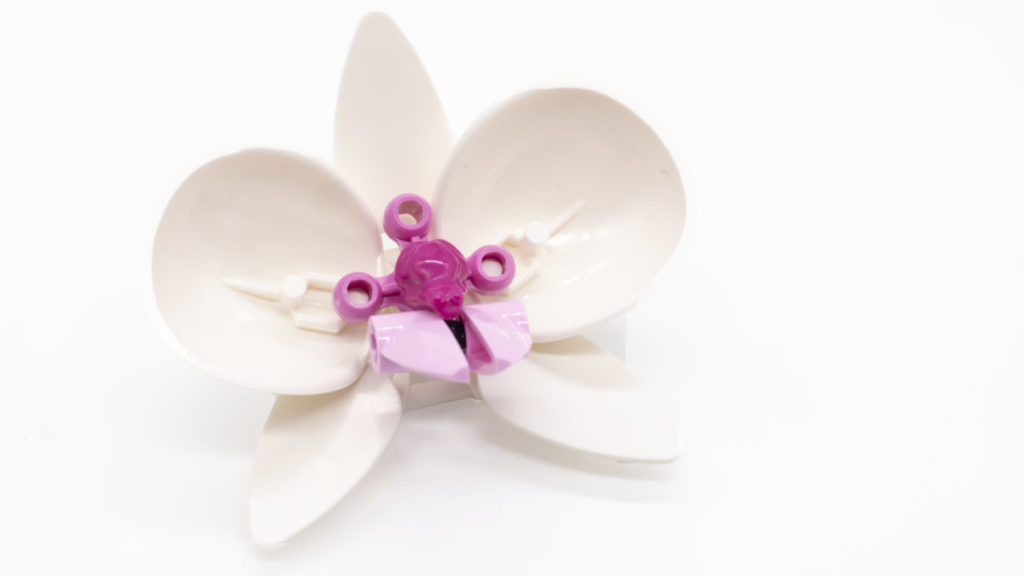 LEGO Botanical Collection 10311 Orchid 24 1024x576