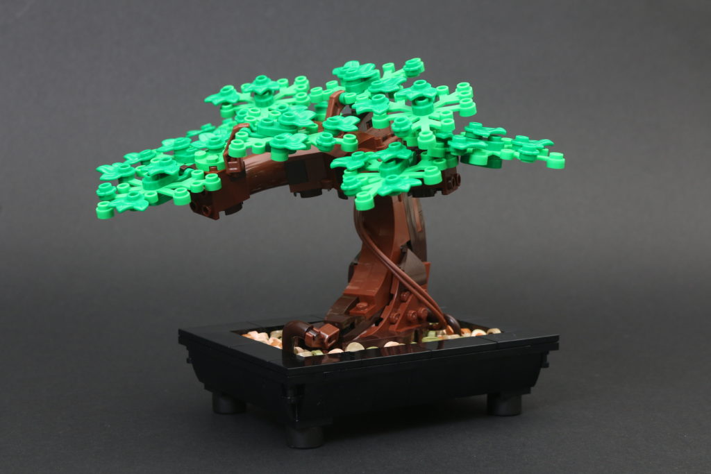 LEGO Botanical Collection 10281 Bonsai Tree review 17
