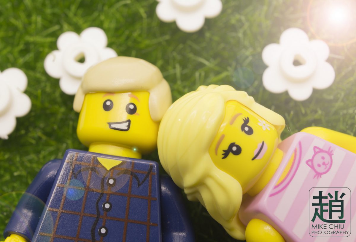 Brick Pic of the Day: Summer feeling