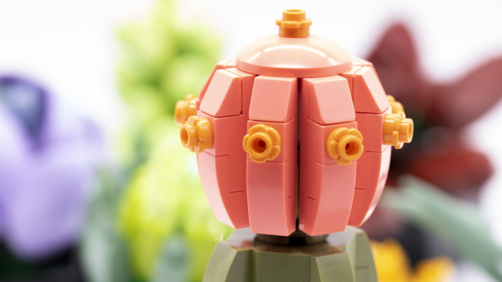 LEGO The Botanical Collection 10309 Succulents 37 1024x576