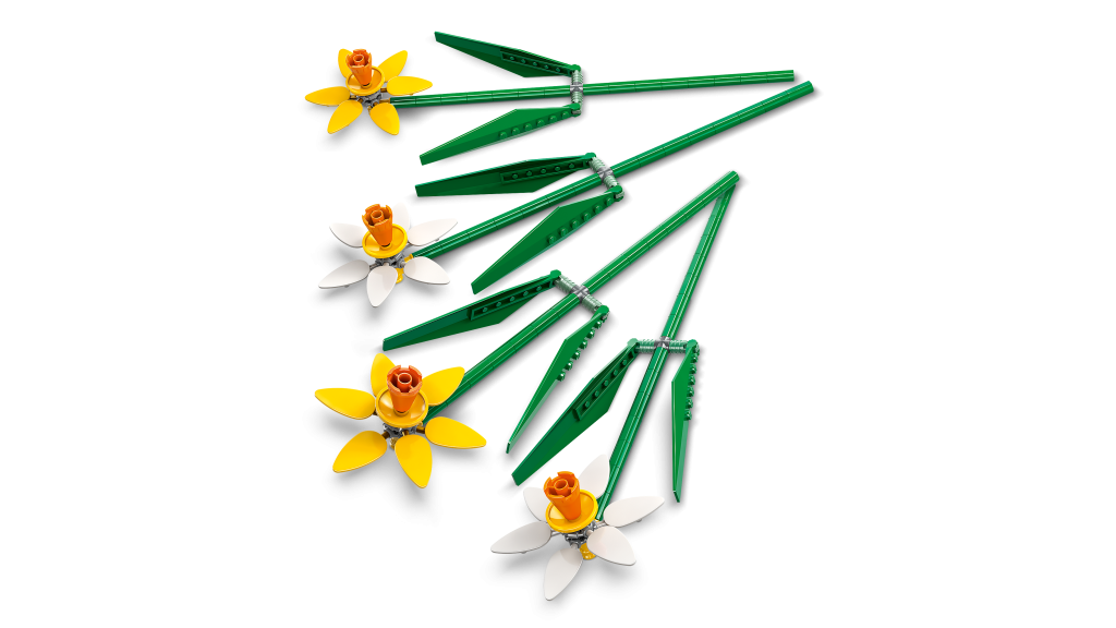 40747 daffodils 2 1024x576