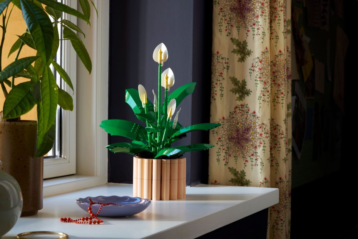 LEGO Botanicals 11504 Peace Lily 17 1200x800