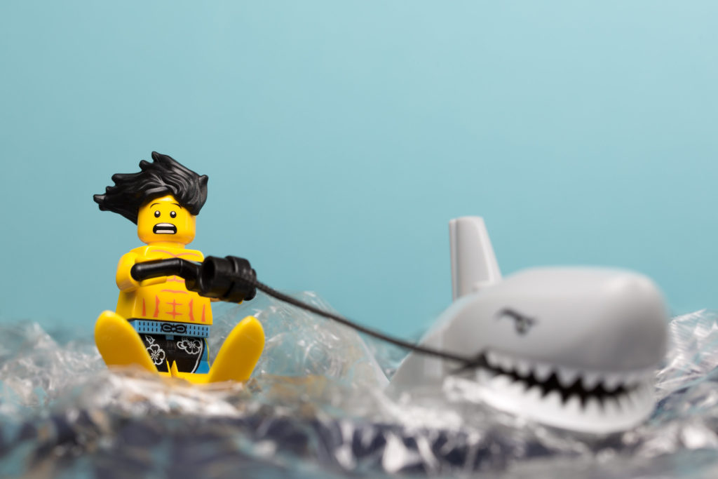 Brick Pic of the Day: Ultimate thrill-seeker