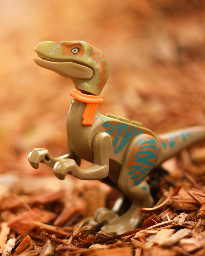Brick Pic of the Day: Ready for the autumn
