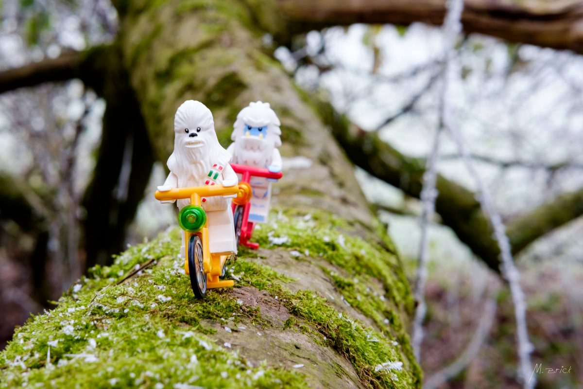 Brick Pic of the Day: Yeti day out