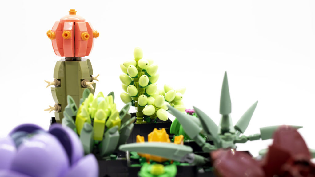 LEGO The Botanical Collection 10309 Succulents 29 1024x576