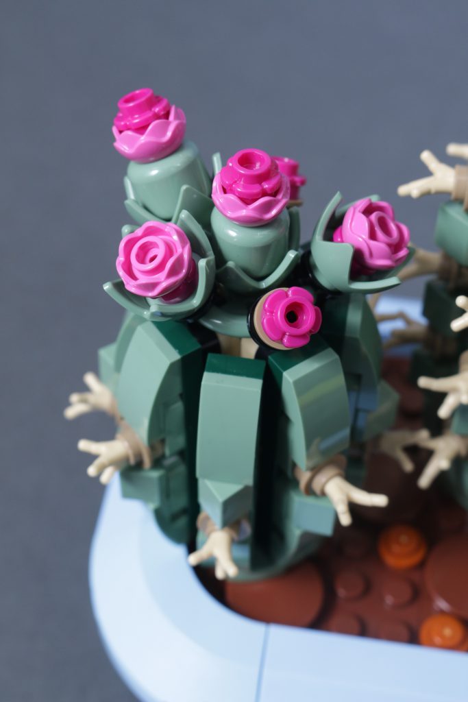 LEGO Botanicals 11501 Tulip Bouquet 11509 Flowering Cactus 11508 Daisies 11504 Peace Lily review 11 683x1024