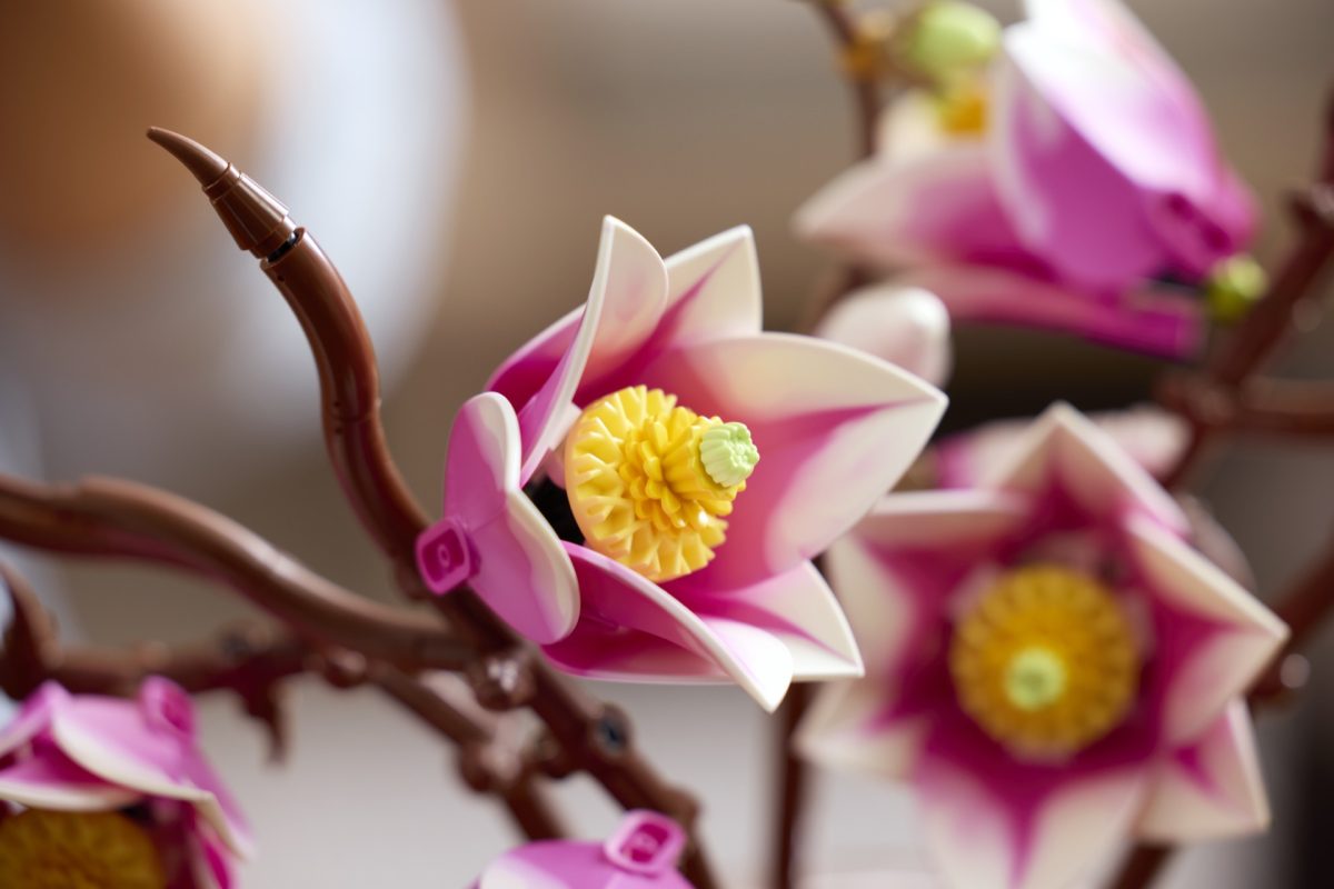 LEGO Botanicals 11510 Magnolia Branches 12 1200x800