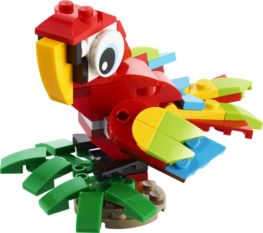 30581 Tropical Parrot 2