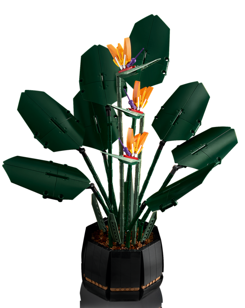 LEGO 10289 Bird of Paradise 4