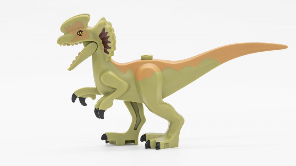 dino other side white 1024x576
